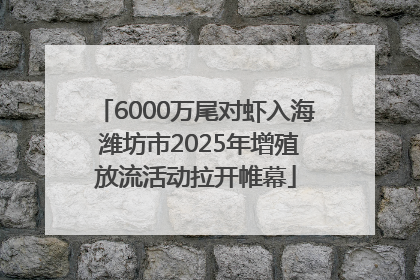 6000万尾对虾入海 潍坊市2025年增殖放流活动拉开帷幕