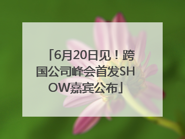 6月20日见！跨国公司峰会首发SHOW嘉宾公布