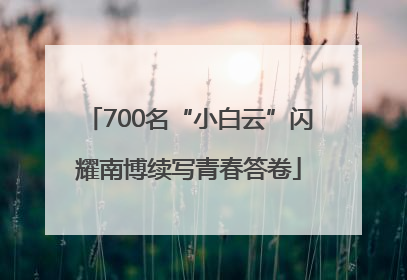 700名“小白云”闪耀南博续写青春答卷