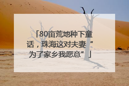 80亩荒地种下童话，珠海这对夫妻“为了家乡我愿意”