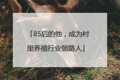 85后的他，成为村里养殖行业领路人