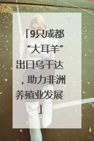 9只成都“大耳羊”出口乌干达，助力非洲养殖业发展