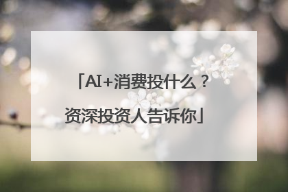AI+消费投什么？资深投资人告诉你