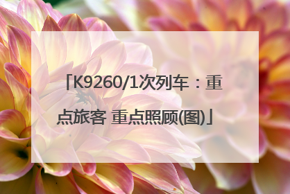 K9260/1次列车：重点旅客 重点照顾(图)
